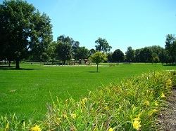 Mowed Grassy Area at Carpenter Park